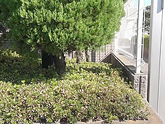 0137-SYKH-073-1-ero mp4