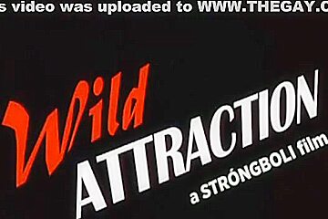 7 Kristen Bjorn - Wild Attraction, 2