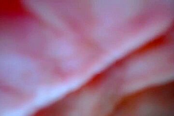 A Boy, Scab Web Orgy