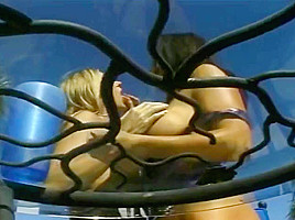 Ageless Amber Michaels Is Hot Girl On Girl Action