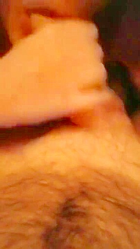Amateur Blowjob