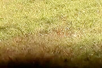 Areola In The Park (Downblouse wolter1000 style)