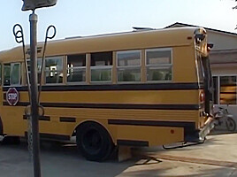 Ashley Blue - Takes In A Bus