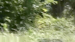 Asian Babe Watched Peeing