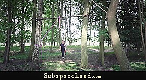 Attractive brunette bdsm used in the woods