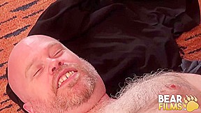 BEARFILMS Copper Hill Pounds Doggystyle Inked Hairy Bear