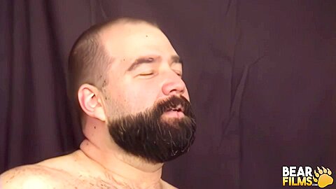 BEARFILMS Naughty Chubby Gays Having 3way Dick Sucking