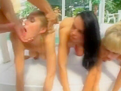 Banged In The Ass - 1