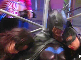 Batman And Catwomen Fun With The Villains