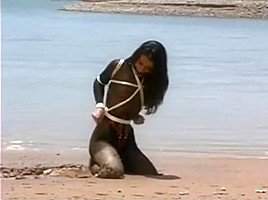 Bound in the beach