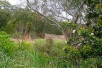 Bush Walking Naked 2012