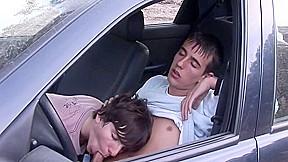Car Action