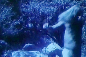Come Of Age 1971 Complete Clip