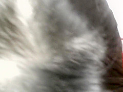Crazy Japanese chick in Exotic Blowjob, Amateur JAV scene