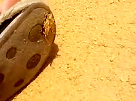 Crush bugs with red sandals