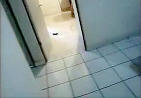 Cuckold compilation