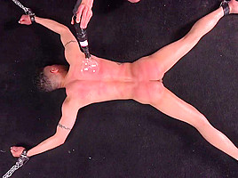 Curtis Torture teen 18+ 9
