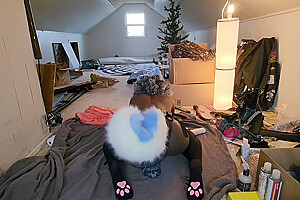 Cute Trans Blue Dog Plays With Toy