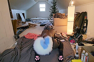 Cute Trans Blue Dog Plays With Toy