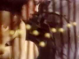 Dangerous Stuff (1985) XRCO Hall of Fame