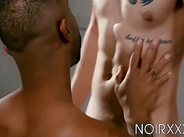 Dante Colle - Bareback Doggystyle Fucked Wild Tattooed Jocks 6 Min