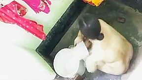 Desi bhabhi nude bath video shoot here dever