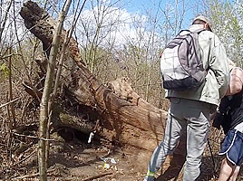 Drague dans bois 2