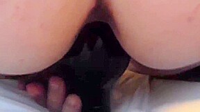 Elasticunt