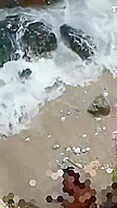 Esposa Traindo Na Praia Com Negro Bbc