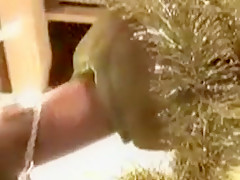 Festive Fleshlight Fuck