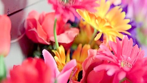 Flowers A Bbc And A Creampie