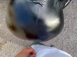 Fuck Girl In Leather Leggings