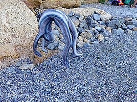 Full Body Catsuit On The Beach - Watch4Fetish