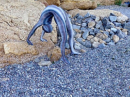 Full Body Catsuit On The Beach - Watch4Fetish