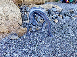 Full Body Catsuit On The Beach - Watch4Fetish
