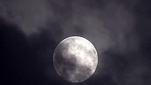 Future Darkly