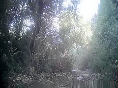 Girl in jeans shorts peeing in forest