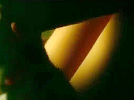 Gitte Witt - Pornopung (2013)