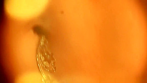 Gorgeous Erotic Brunette Milf