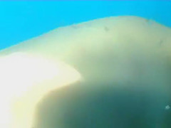 Great , Russian, Amateur Movie Full Version