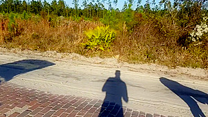 HOT SEX IN THE MIDDLE OF PUBLIC ROAD