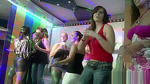 Hardcore Group Sex Session With Desirable Bints