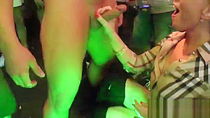 Horny kittens get absolutely delirious and undressed at hardcore party
