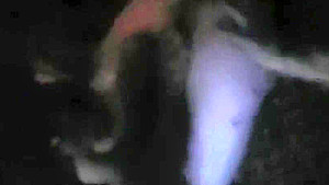 Horny slut with a useless BF , lucky he got hands and tongue
