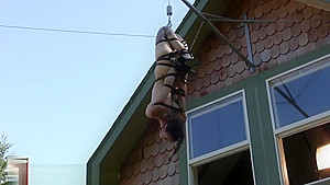 Houseofgord