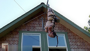 Houseofgord