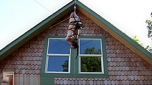 Houseofgord