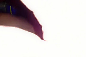 Indian Desi Bhabhi And Indian Aunty - Chubby Fucked And Sucking Dick Of Husband
