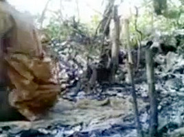 Indian gf bf sex in Forest