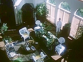 Insatiable - 1980